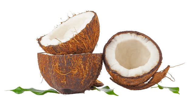 coconut nectar organic, organic coconut palm nectar, best coconut nectar, secret coconut nectar

