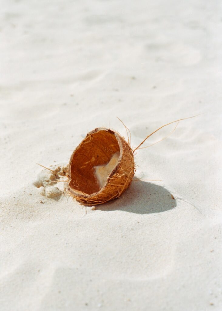 The History of Desiccated Coconut Powder - How it Was Developed, When it Became Popular, and Key Moments in Its Rise as an Ingredient. 2 A half eaten coconut sitting on top of a sandy beach, desiccated coconut powder, organic desiccated coconut, unsweetened desiccated coconut, desiccated coconut flakes