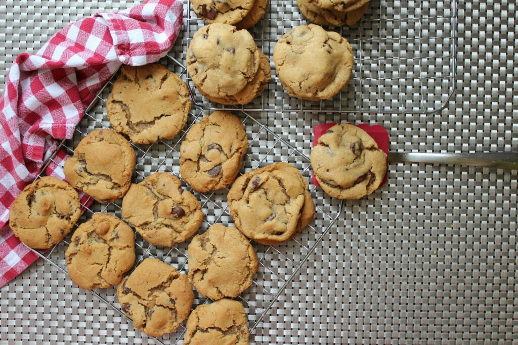 desiccated coconut milk, desiccated coconut low fat, desiccated coconut fine, coconut flakes desiccated
