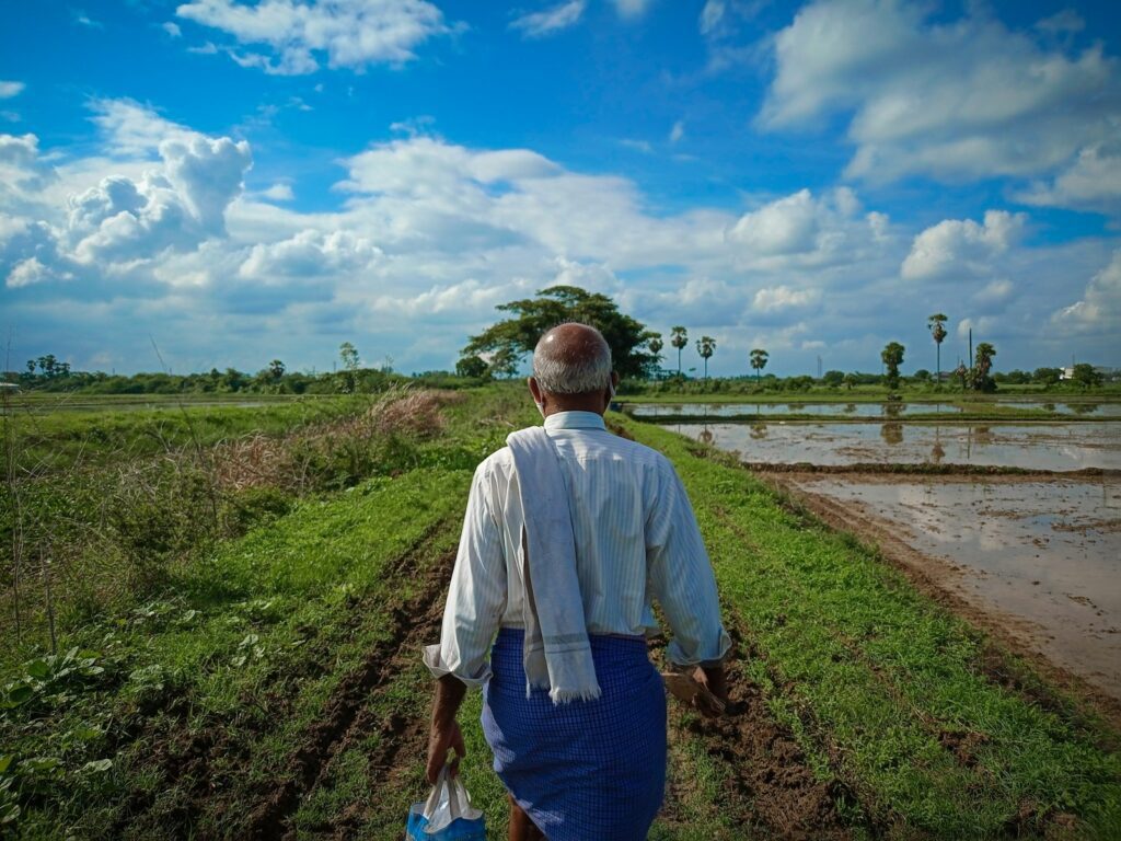 The Challenges Facing Coconut Farmers and Suistainable Solutions 1 coconut farmers, coconut sap, coconut nectar, farming