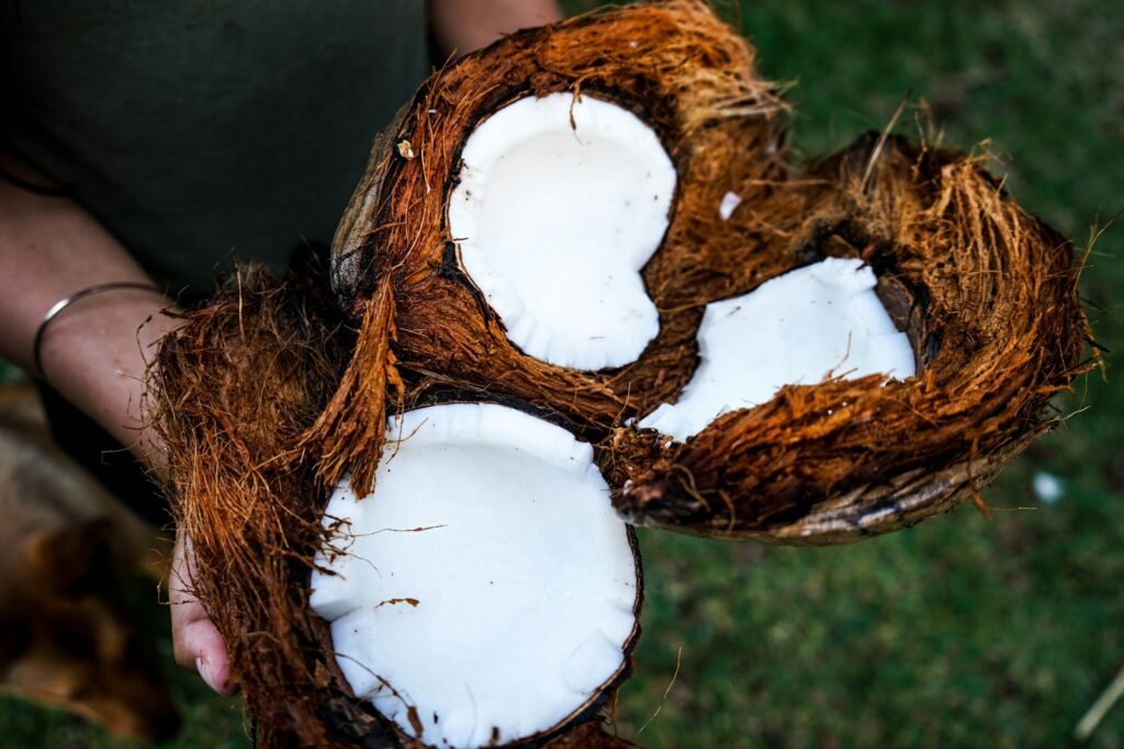 Is Coconut Nectar Honey the Next Big Thing in Digestive Health? The Answer May Surprise You 3 coconut nectar honey, coconut nectar, coconut flower nectar, health
