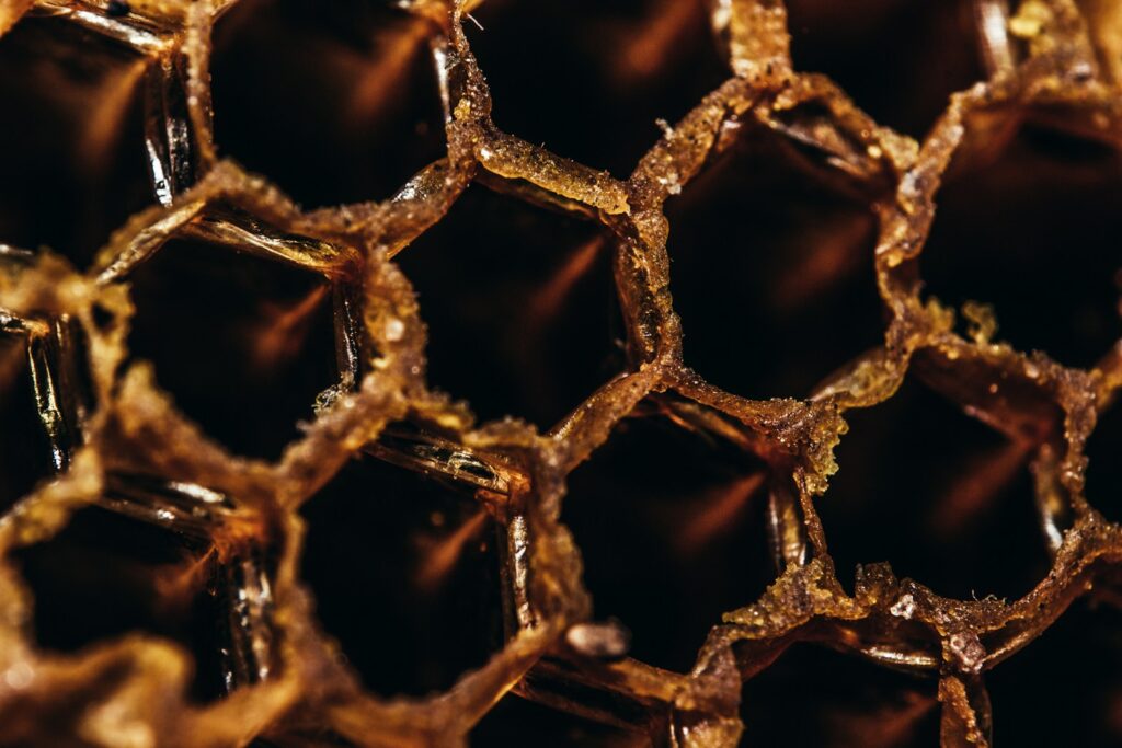 Coconut Nectar vs. Honey: Which Is Healthier? 1 coconut nectar, honey, healthy, coconut sugar
