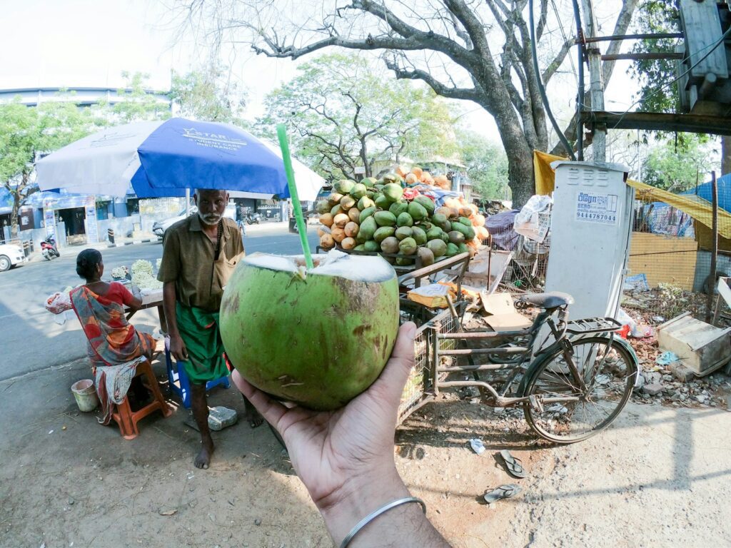 desiccated coconut, coconut, food, home