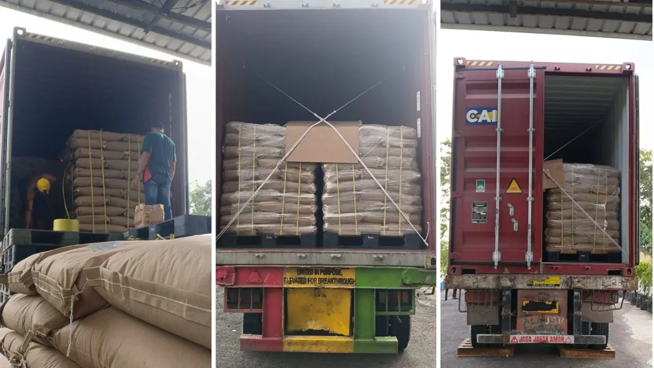 Global Coco Sugar Ships Certified Coconut Products to the USA and Europe 1 Global Coco Sugar Ships Certified Coconut Products to the USA and Europe
