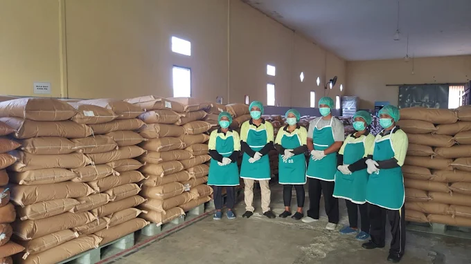 coconut sugar manufacturers Global Coco Sugar