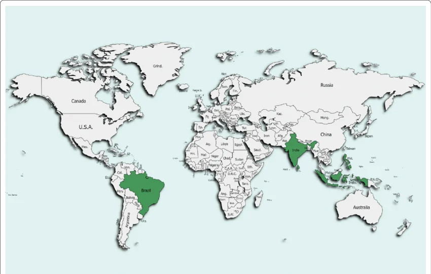 Best Countries to Source Coconut Sugar: Indonesia vs Philippines vs Sri Lanka — A Complete Buyer's Comparison (2026) 1 Best Countries to Source Coconut Sugar