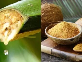 Coconut Nectar vs Coconut Sugar