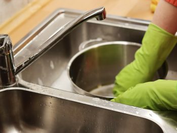 Photo by Marek Studzinski chefs, coconut nectar, dish, gourmet