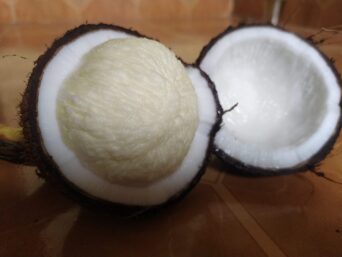 coconut flower nectar, coconut nectar sugar, coconut nectar syrup, blonde coconut nectar