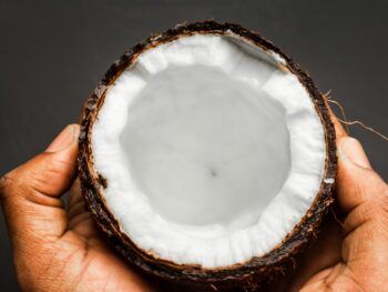 Photo by Louis Hansel desiccated coconut sweet, desiccated coconut toasted, desiccated coconut high fat, coconut milk from dessicated coconut