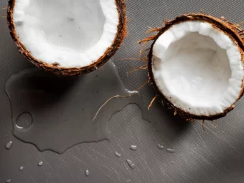 coconut milk, coconut nectar organic, organic coconut palm nectar, best coconut nectar, secret coconut nectar
