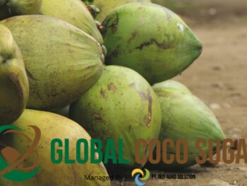 green coconut fruits