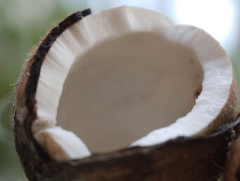 coconut milk, drinking, healthy, life