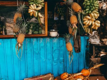 desiccated coconut, coconut, food, home
