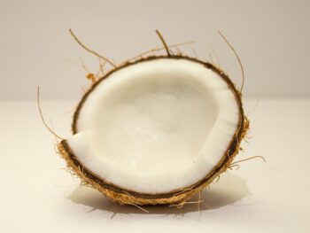 Photo by Tash Guimond Desiccated Coconut, coconut, coconut nectar, coconut nectar