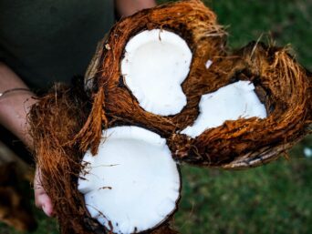 coconut blossom nectar, coconut flower nectar, coconut nectar whole foods, organic coconut palm nectar