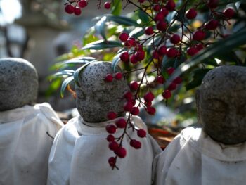 coconut nectar sugar, coconut nectar drink, coconut nectar honey, sweeteners {{brizy_dc_image_alt entityId=